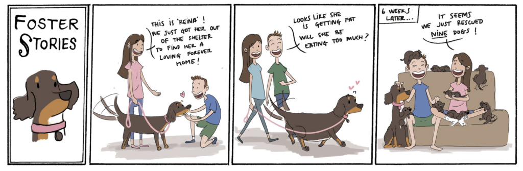 MUTTS Shelter Stories Comic Strips, Drawn by Readers!